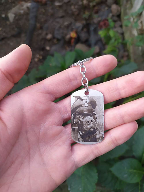 Описание картинки